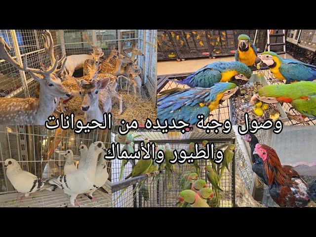 وصول وجبة جديده من الحيوانات والطيور والأسماك #حدائق_غابات_الأمازون في بغداد/الغدير2024/7/9