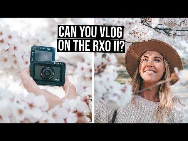 Can you Vlog on the Sony RX0II? | Cherry Blossoms in Korea