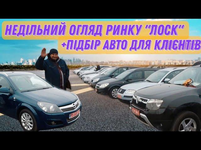 Огляд ринку "Лоск" 10.11. Підбір для задоволених клієнтів #automobile #380506962082