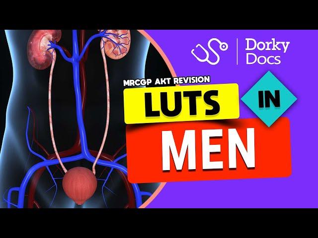 LUTS (Lower Urinary Tract Symptoms) in Men I The MRCGP AKT Exam Revision I Dorky Docs