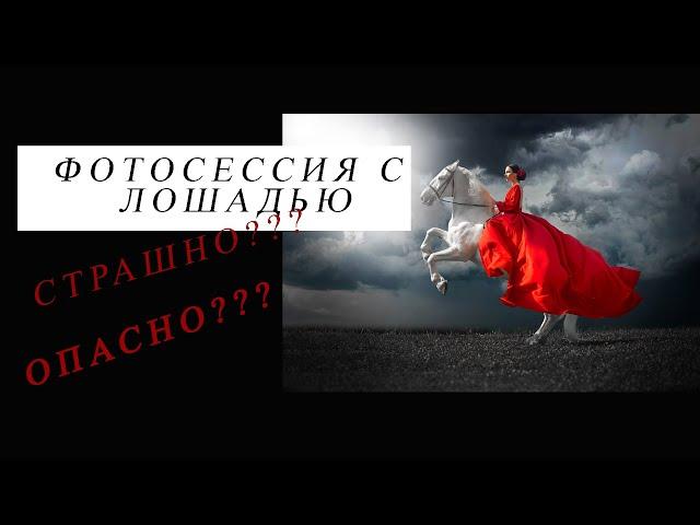 Фотосессия с лошадью. Опасно ли фотографироваться с лошадьми?