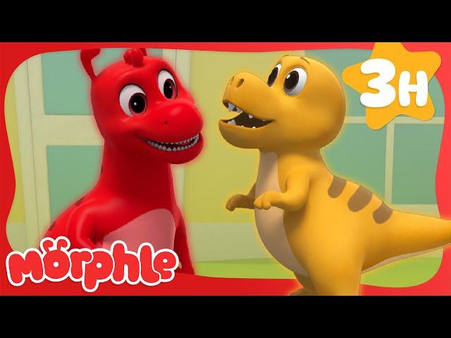 Dino Morphle Might Make A New Friend | Morphle Dinosaurs | Dinosaurs for Kids  Cartoons for Kids