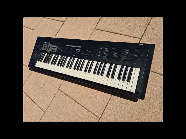 Korg - DS-8 Digital FM-Synthesizer, Vintage