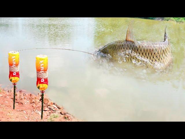 Best Fishing Video  Traditional Hook Fishing ~ Catching  Fish By Fish Hook ~ #Fishing