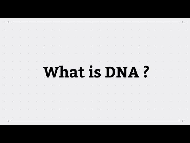 What is DNA?