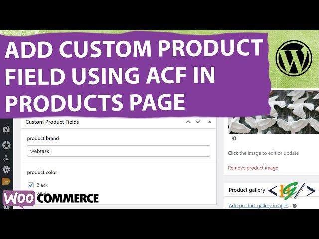 How to Add Custom ACF Field to the WooCommerce Product Pages | Advanced Custom Fields