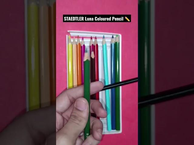 STAEDTLER Lina Coloured Pencils ️️ #shorts #satisfying #stationerywallah #youtubeshorts