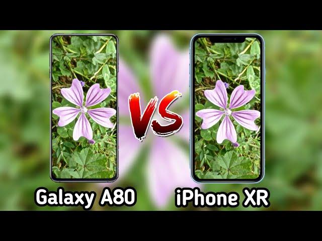 Samsung Galaxy A80 VS iPhone XR Camera Test Comparison/Galaxy A80 Review/iPhone XR Overview,Features