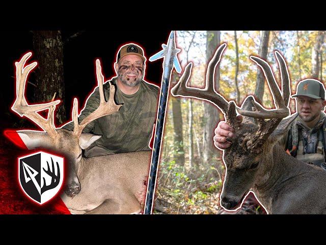 Two Mature Bucks Hit Their Last Scrape!