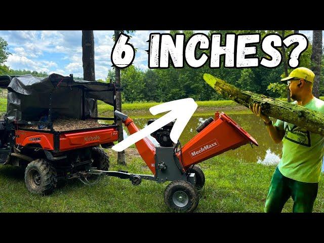 Storm Damage Cleanup! - Is the MechMaxx Wood Chipper Any Good?