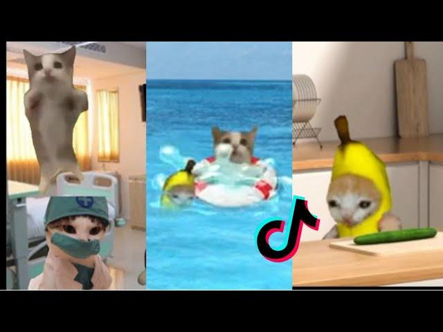 HAPPY CAT  TikTok Compilation #2