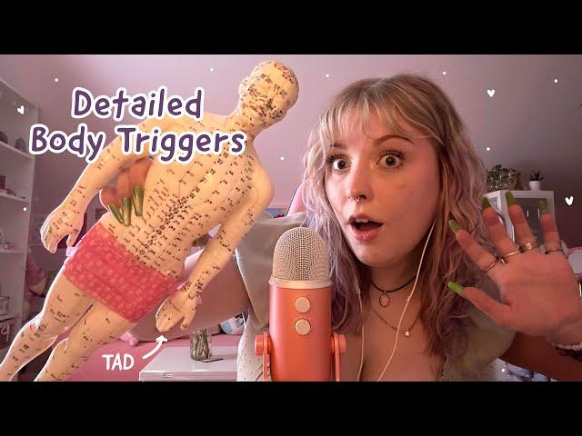 ASMR TAD Acupuncture Doll Tingles! Tapping, Scratching, Mouth Sounds, w and w/o Nails, Lofi + Mic 