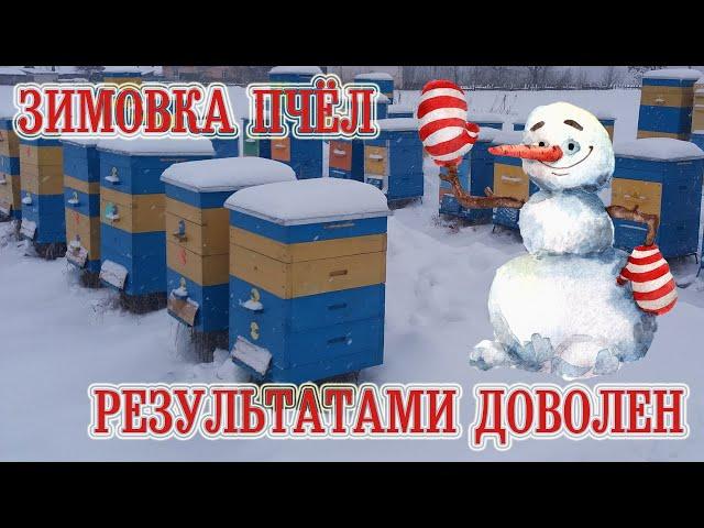 Зимовка пчёл | Как достичь хорошей зимовки пчёл на улице. | Wintering bees.