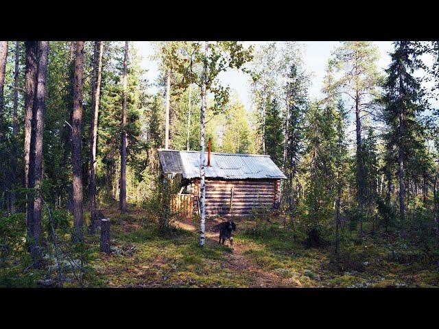 10 дней один в глухой тайге. Охота. Рыбалка. Одиночный поход. Таёжный быт. Лесная изба. Часть 5