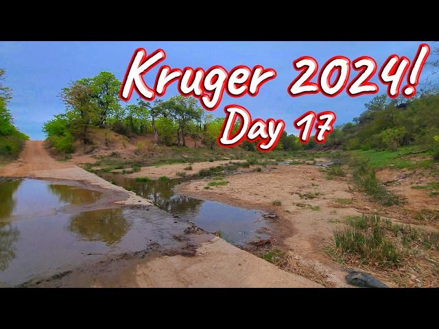 Day 17 – Kruger National Park! S1 – Ep 557