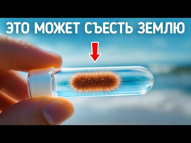 Эксперименты, которые могли бы привести к концу света