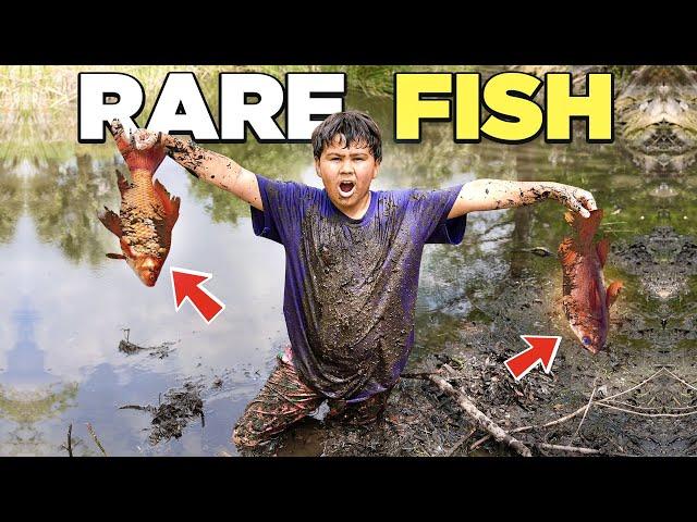 SAVING AQUARIUM FISH In DRIED UP POND!!