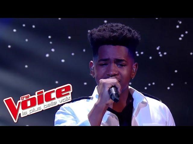 Lisandro Cuxi - « Si seulement je pouvais lui manquer » (Calogero) | The Voice 2017 | Live