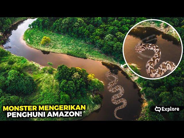 TERUNGKAP! Misteri Mengapa Hutan Amazon Menciptakan Monster Predator Paling Mengerikan di Dunia