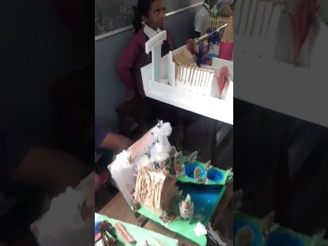 science project works #subscribe #sanjana #shortvideo