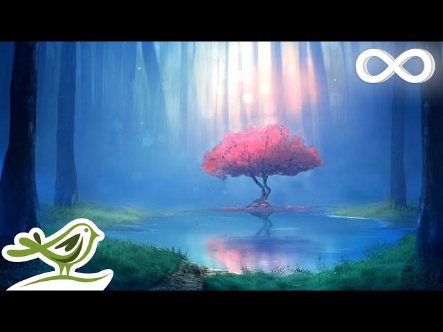 Deep Relaxing Music • Meditation Music, Sleep Music, Ambient Music