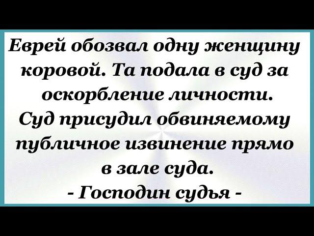 Еврей обозвал одну женщину коровой. Сборник Смешных, Свежих Анекдотов! Юмор! 689