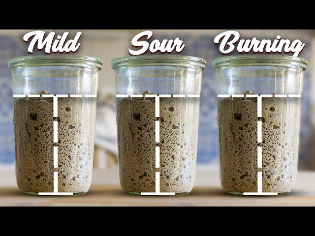 Mastering Your Sourdough Starter - A deep dive into Flavor and Acidity