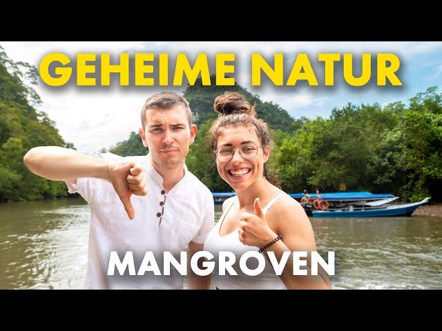 LANGKAWI Mangroven Tour - Dinge, die dir NIEMAND sagt! – Lohnt es sich?