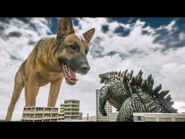 Giant Dog Dwarfs Godzilla