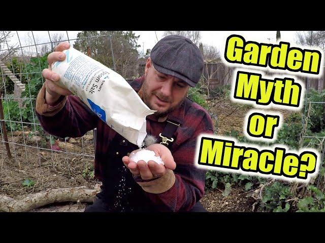 Is Epsom Salt A Gardening Myth Or A Gardening Miracle?