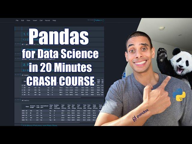 Pandas for Data Science in 20 Minutes | Python Crash Course