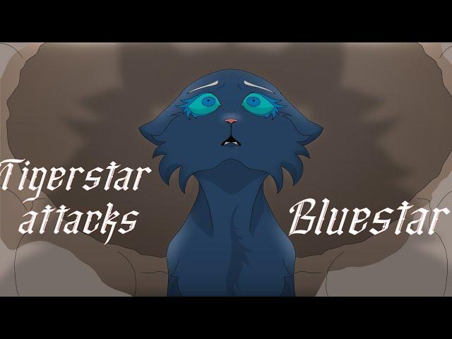 Tigerstar attacks Bluestar... || Warrior Cats animation