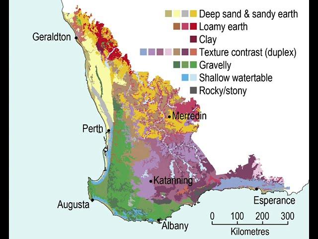 Potential wheat yield on gravel soil in south-western agricultural region of Western Australia