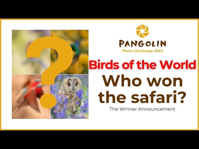 Birds of the World | Pangolin Photo Challenge Winners