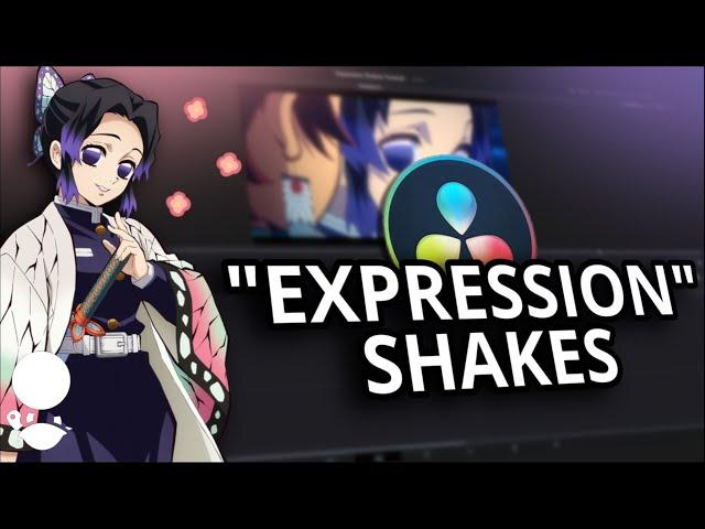 DaVinci Resolve 17 | Expression Shakes Basics