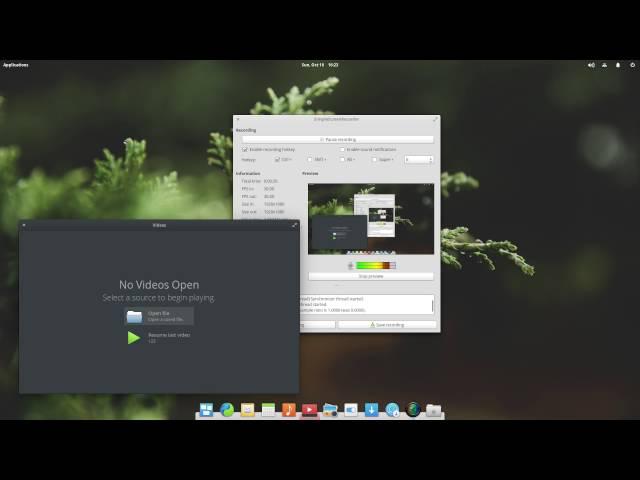 First look at elementary OS 0.4 Loki, how to minimize windows?