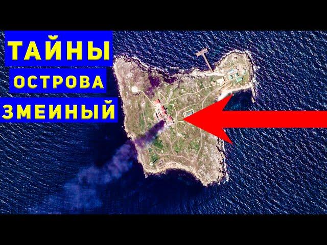 История острова Змеиный и почему он сегодня так важен?