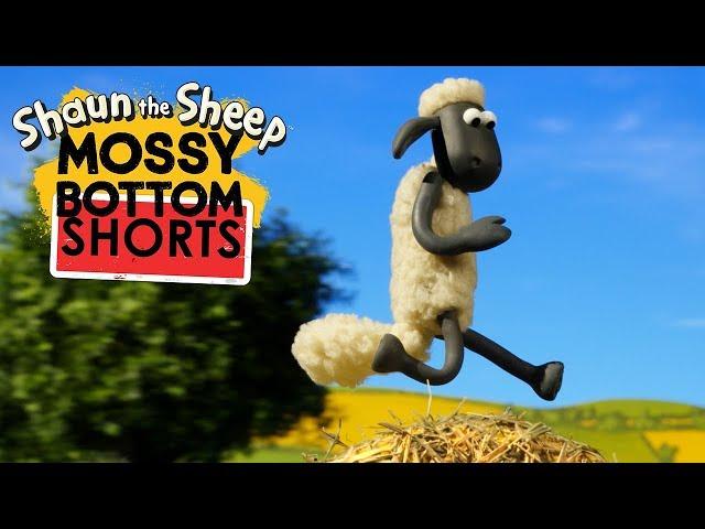 Khối cỏ khô | Mossy Bottom Shorts | Những Chú Cừu Thông Minh [Shaun the Sheep]