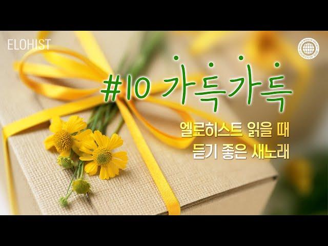 엘로히스트 읽을 때 듣기 좋은 새노래 #10