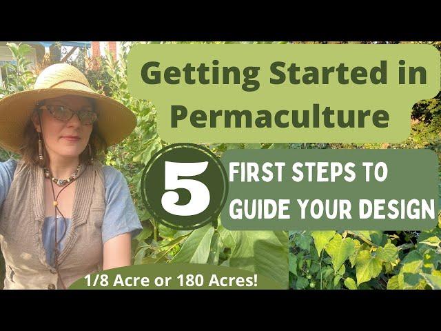 Got Some Land, Now What? 5 First Steps When Starting a Permaculture Garden or Farm