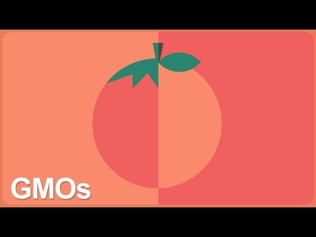 GMOs