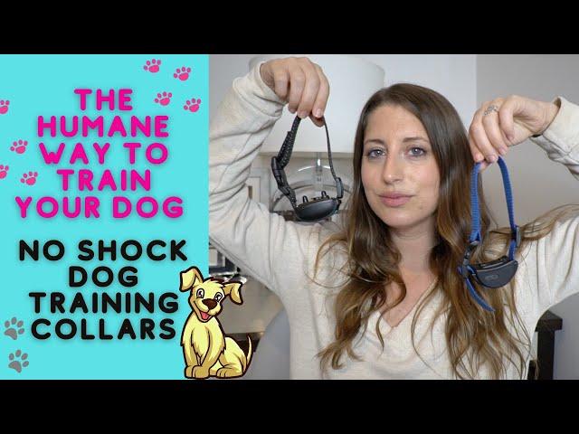 THE HUMANE WAY TO TRAIN YOUR DOG USING A NO SHOCK COLLAR || DOES IT WORK? || JACKELYN SHULTZ