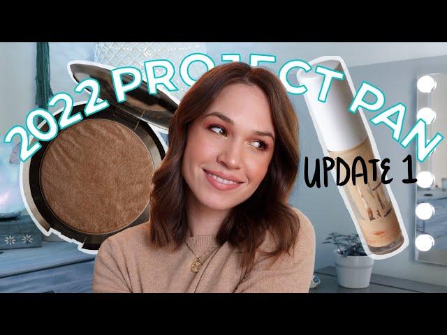 Project Pan Update #1 | 2022 Year Long Rolling Project Pan