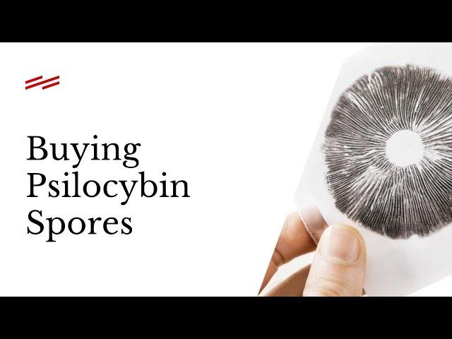 Buying Psilocybin Spores