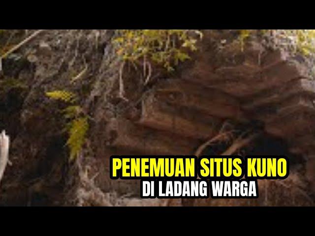 Viral Penemuan Situs Kuno Di Ladang Warga usia Ratusan Tahun