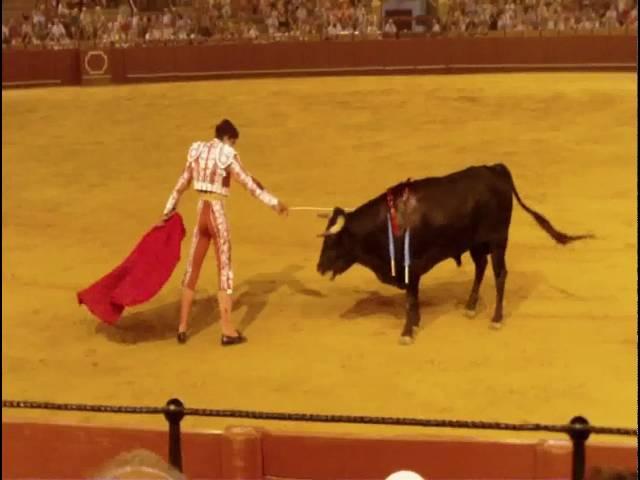 The Cruel Bullfighting in Spain 殘忍的西班牙鬥牛