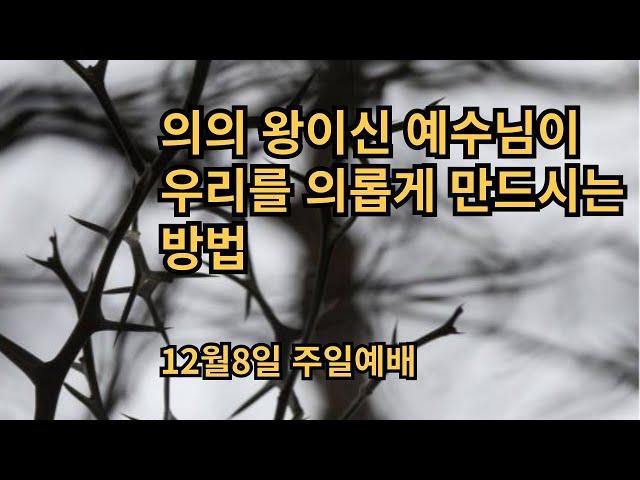 의의 왕이신 예수님이 우리를 의롭게 만드시는 방법 / 12월 8일 배곧가지교회주일 예배 / 디모데후서 3:16-17