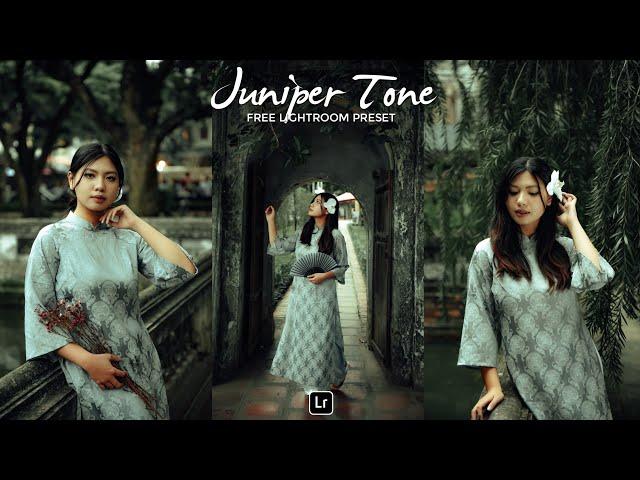 Juniper Tone Lightroom Preset | Lightroom Mobile Preset Free DNG | color grading | lightroom presets