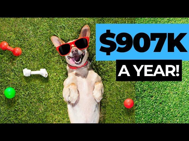 How to Start a Pet Boarding Business ($907K a Year)