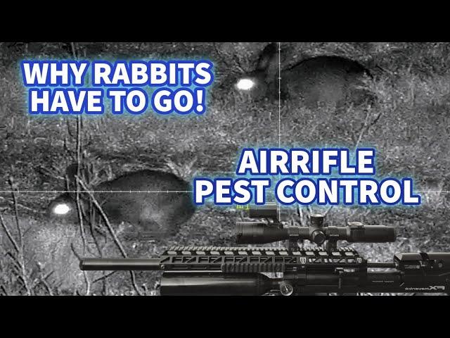 FX Maverick Sniper Airrifle & Pard Nightstalker 4k Shooting Rabbits || One Night of Pest Control